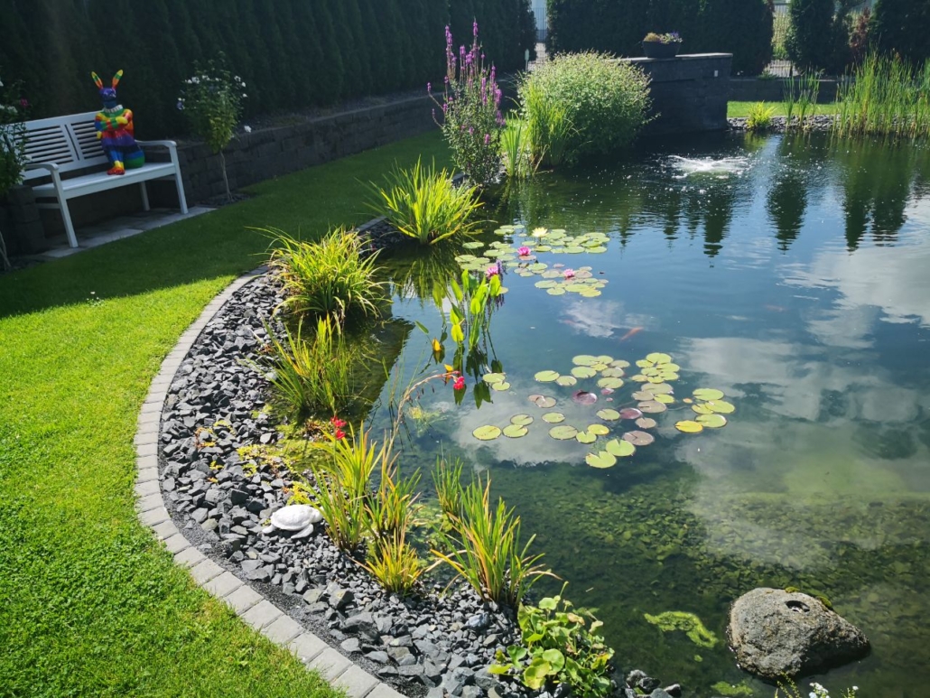 Reinigung von Garten-, Zier- und Schwimmteich von Fachbetrieb aus Würzburg.