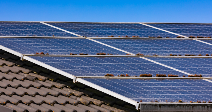 Verschmutzte Photovoltaikelemente -Würzburg